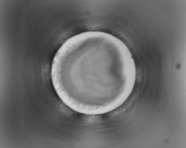 X0000116830670201001081439