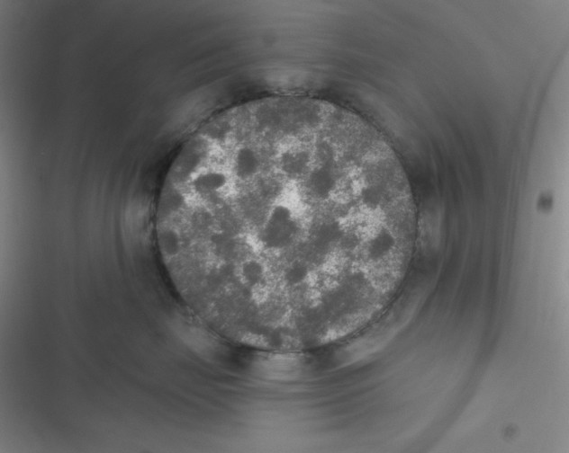 X0000116830671201001081439