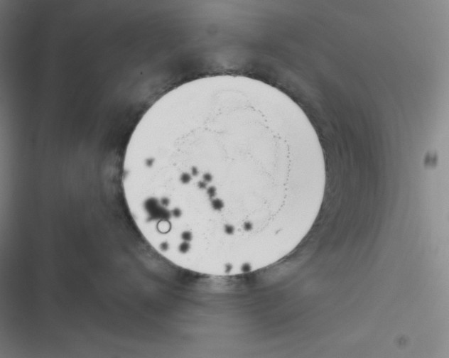 X0000116830672201001081439