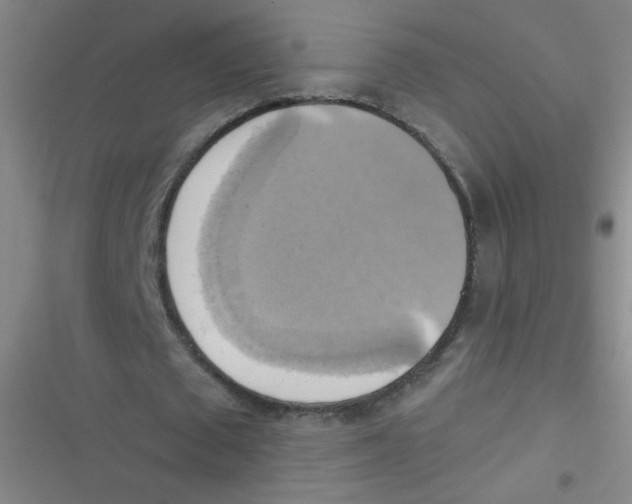 X0000116830673201001081438