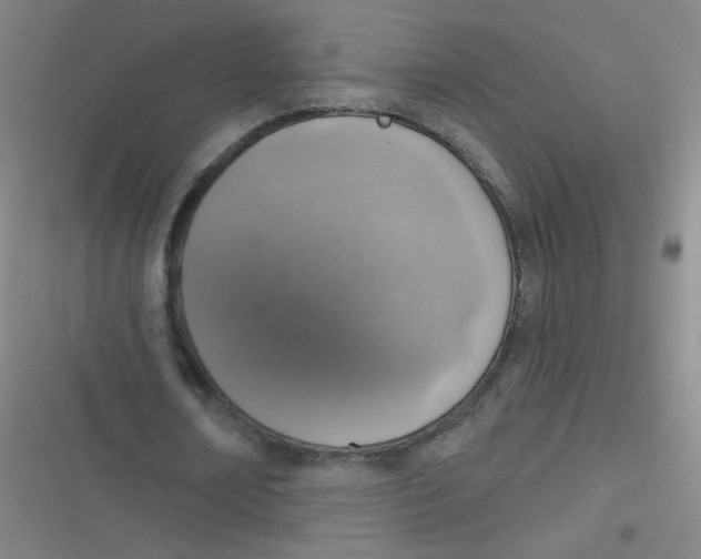 X0000116830674201001081438