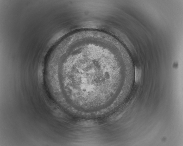 X0000116830675201001081438