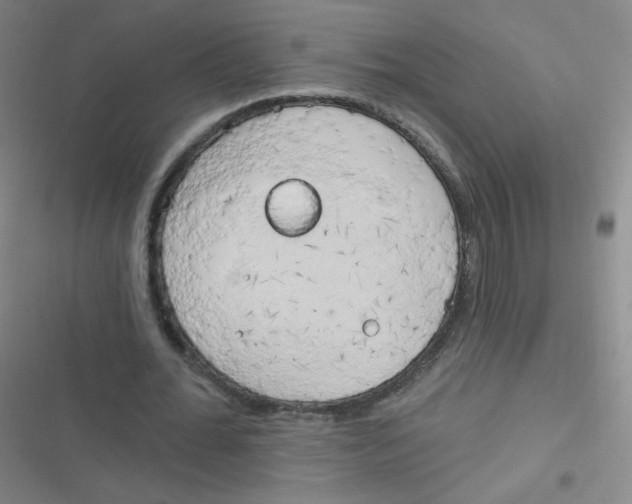 X0000116830676201001081438