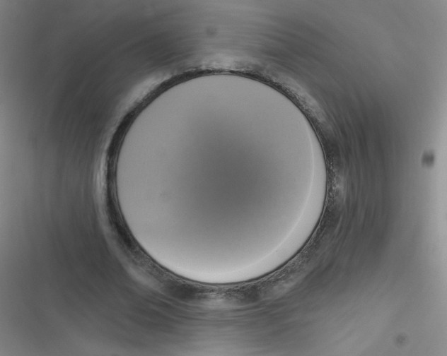 X0000116830678201001081438