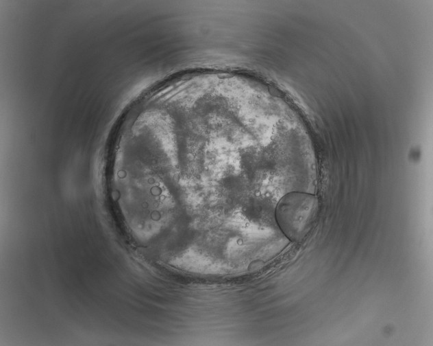 X0000116830679201001081438