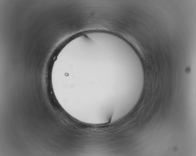 X0000116830680201001081438