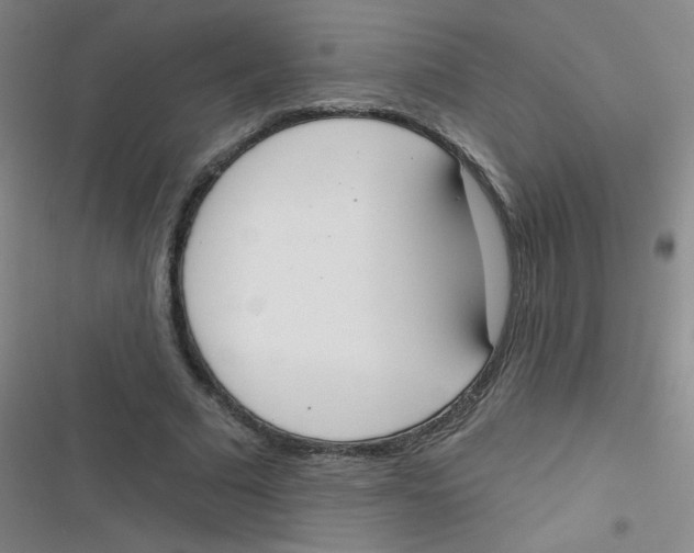 X0000116830681201001081438