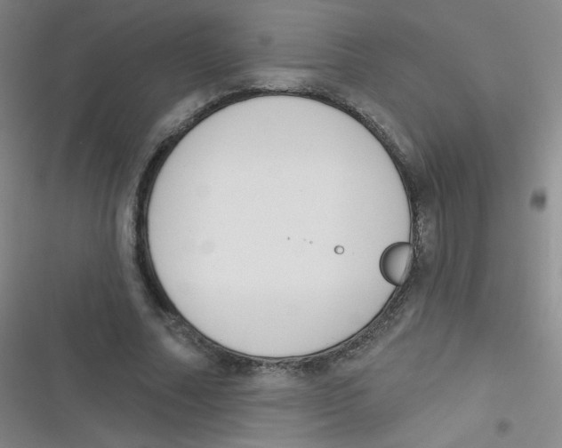 X0000116830682201001081438