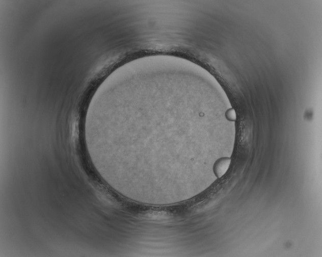 X0000116830685201001081438