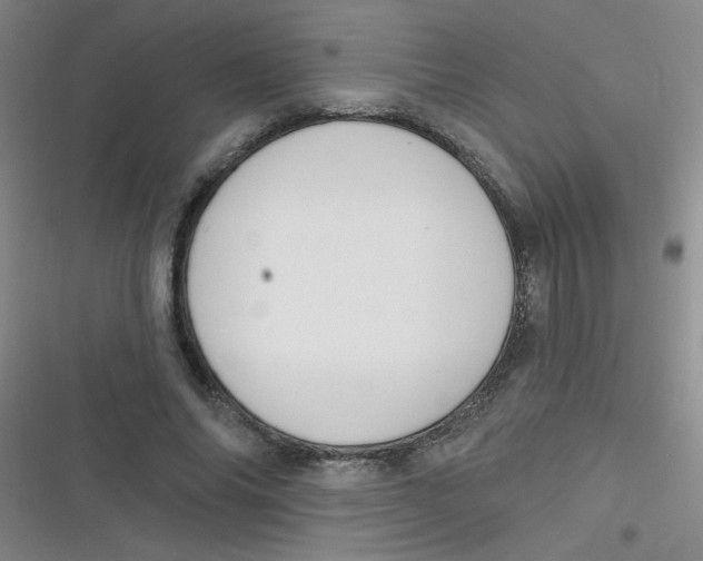 X0000116830686201001081438