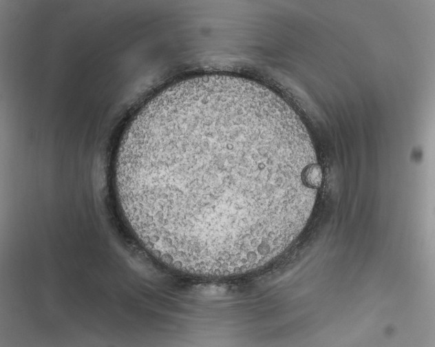 X0000116830687201001081438