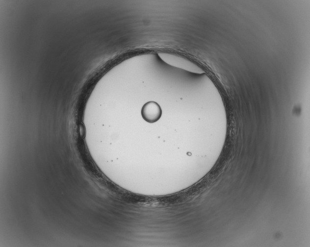 X0000116830688201001081438