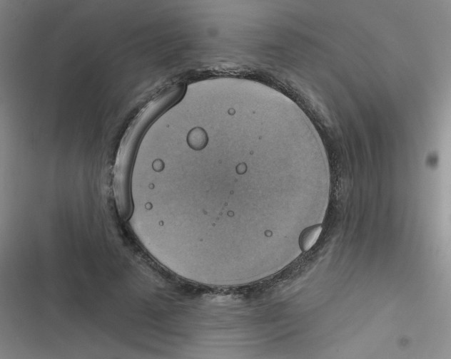 X0000116830689201001081438