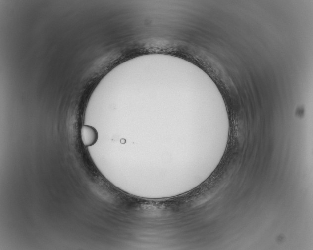 X0000116830690201001081438