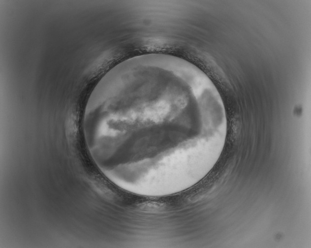 X0000116830691201001081438