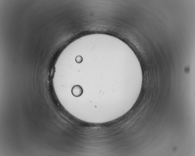 X0000116830692201001081438