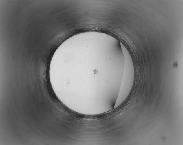 X0000116830693201001081438