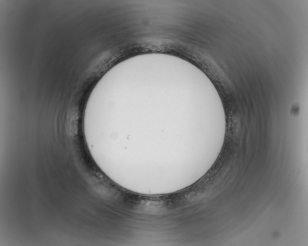 X0000116830694201001081438