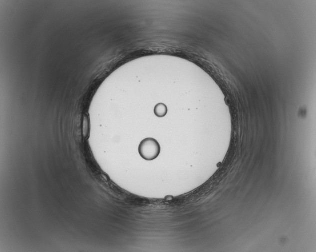 X0000116830696201001081438