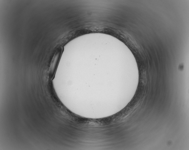 X0000116830697201001081438