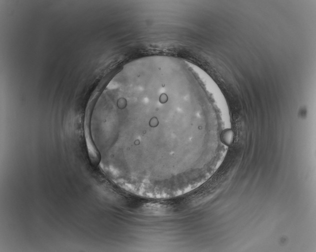 X0000116830699201001081438