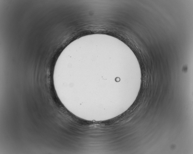 X0000116830700201001081438