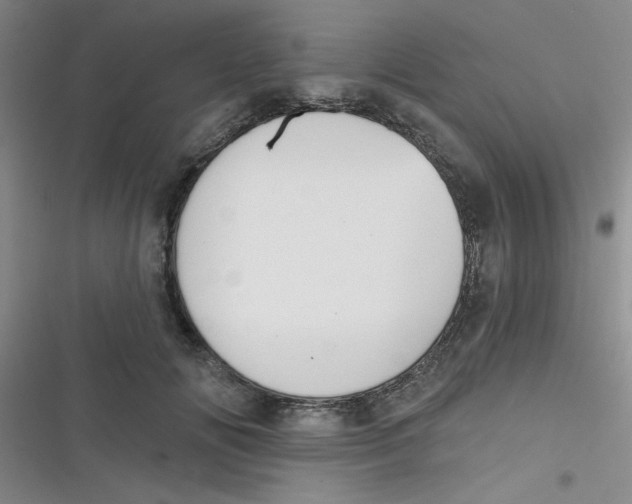 X0000116830702201001081438