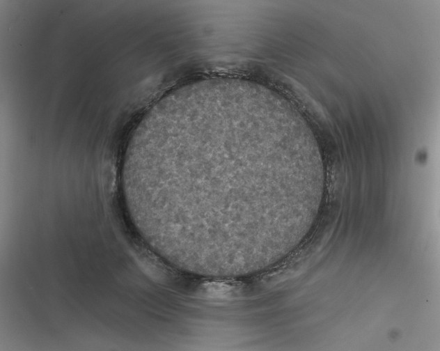 X0000116830703201001081438