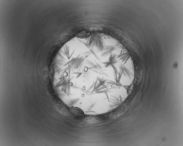 X0000116830704201001081438