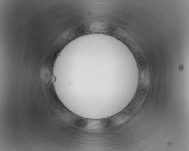 X0000116830705201001081438