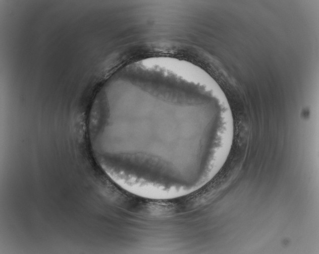 X0000116830707201001081438