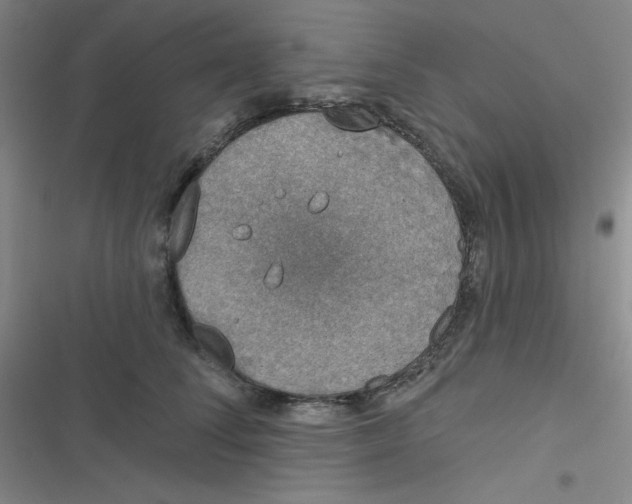 X0000116830708201001081438