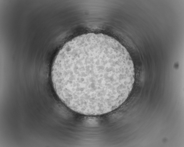 X0000116830710201001081438