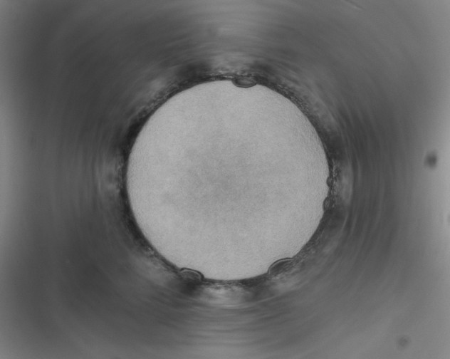 X0000116830712201001081438