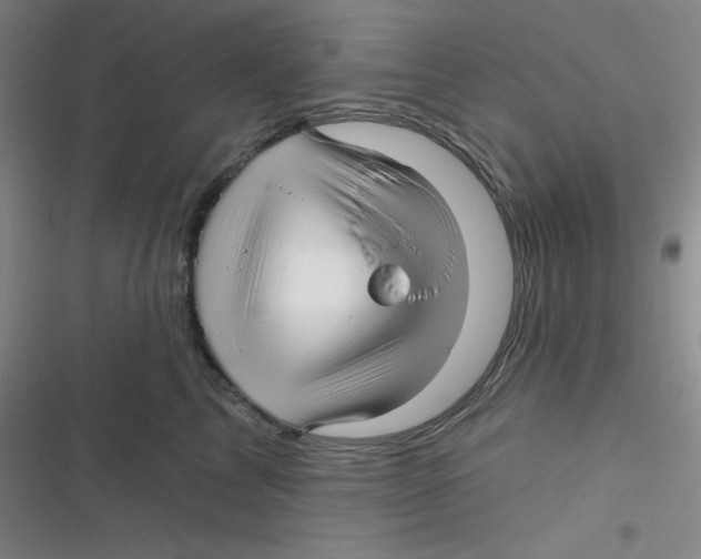 X0000116830713201001081438