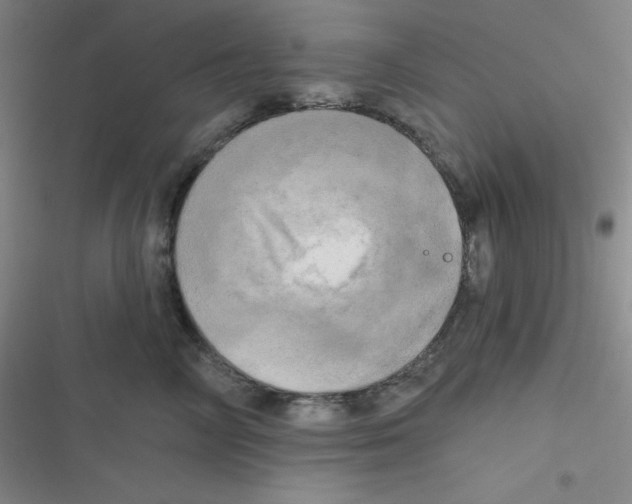 X0000116830714201001081438