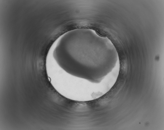 X0000116830715201001081438