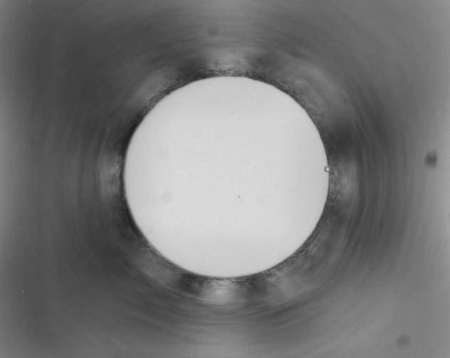 X0000116830717201001081438