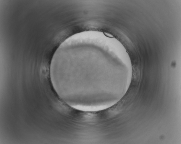 X0000116830718201001081438