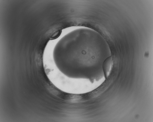 X0000116830719201001081438