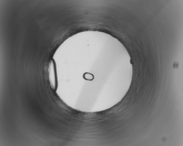 X0000116830720201001081437