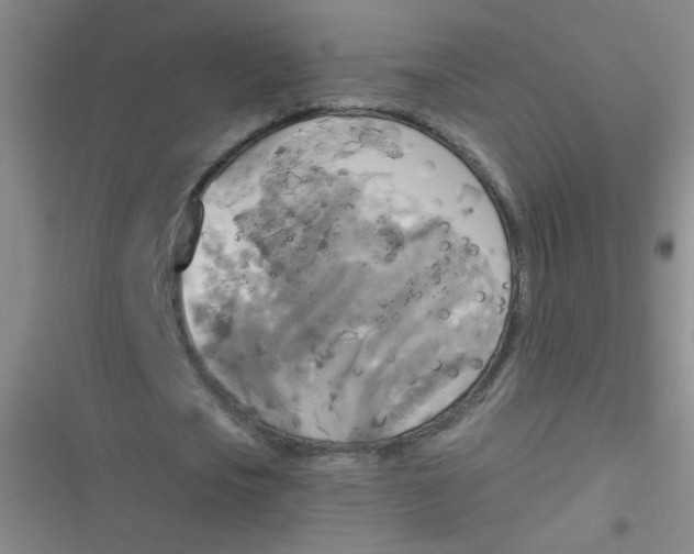 X0000116830721201001081437