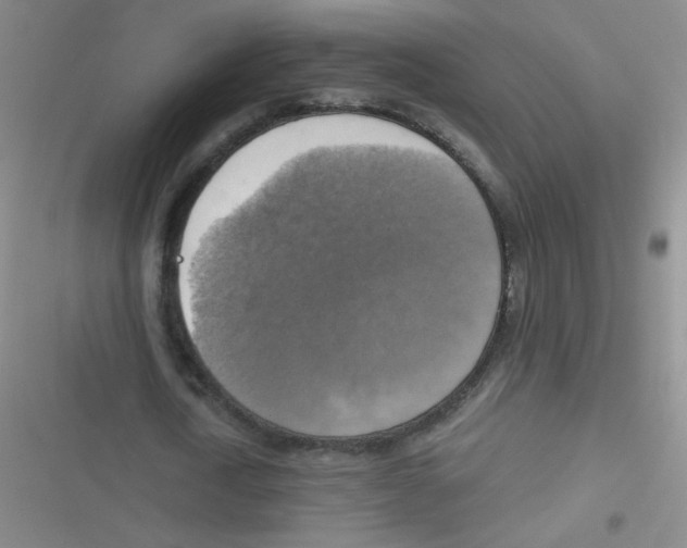 X0000116830722201001081437