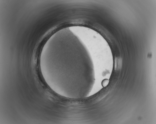 X0000116830723201001081437