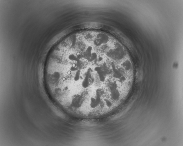 X0000116830725201001081437