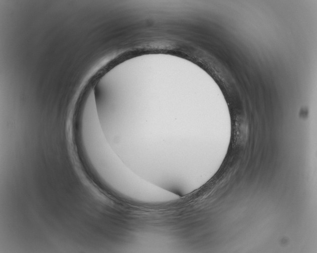 X0000116830726201001081437