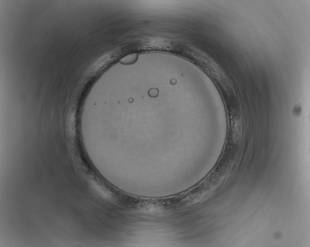 X0000116830729201001081437