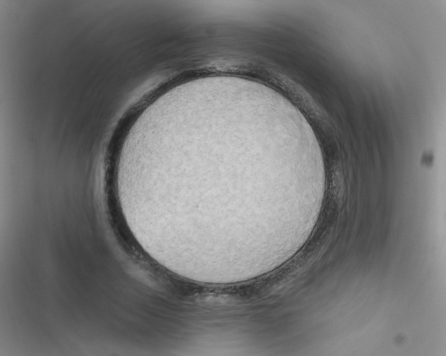 X0000116830730201001081437