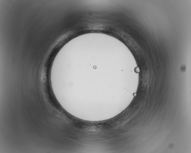 X0000116830731201001081437