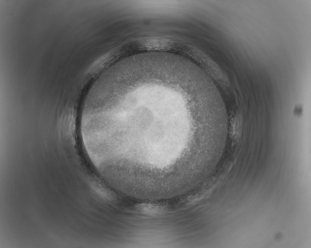 X0000116830733201001081437